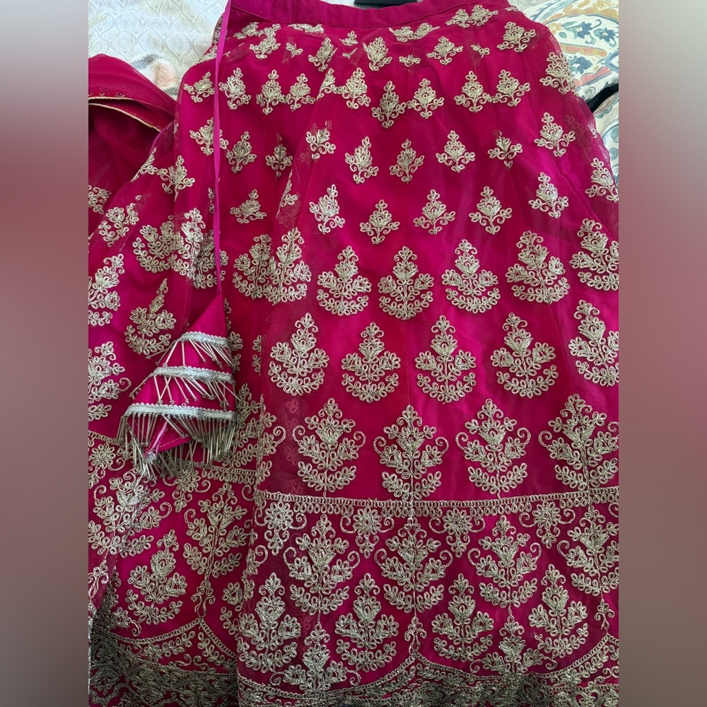 Hot Pink Silver Lehenga + Silver Sequin Crop Top